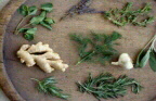 Herbs & Spices