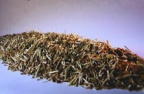 St. Johns Wort